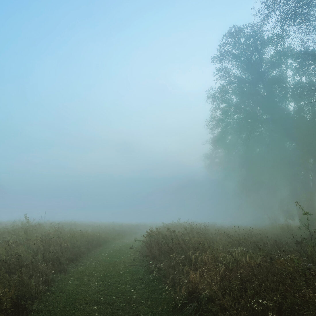 Seth Guge Chasing Fog